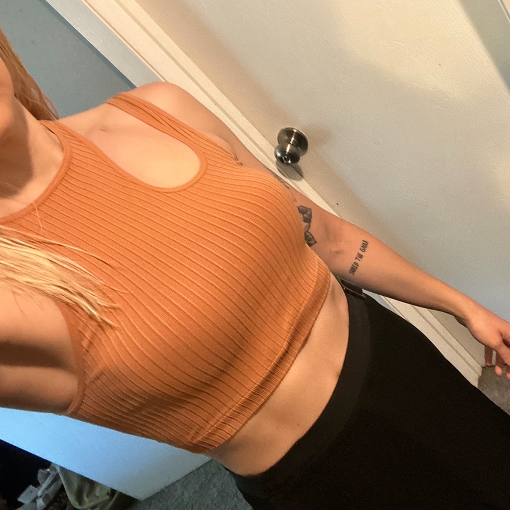 American Eagle Outfitters Ribbed Brown Crop Top